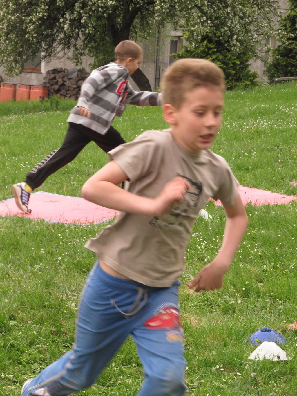 Škola v prírode