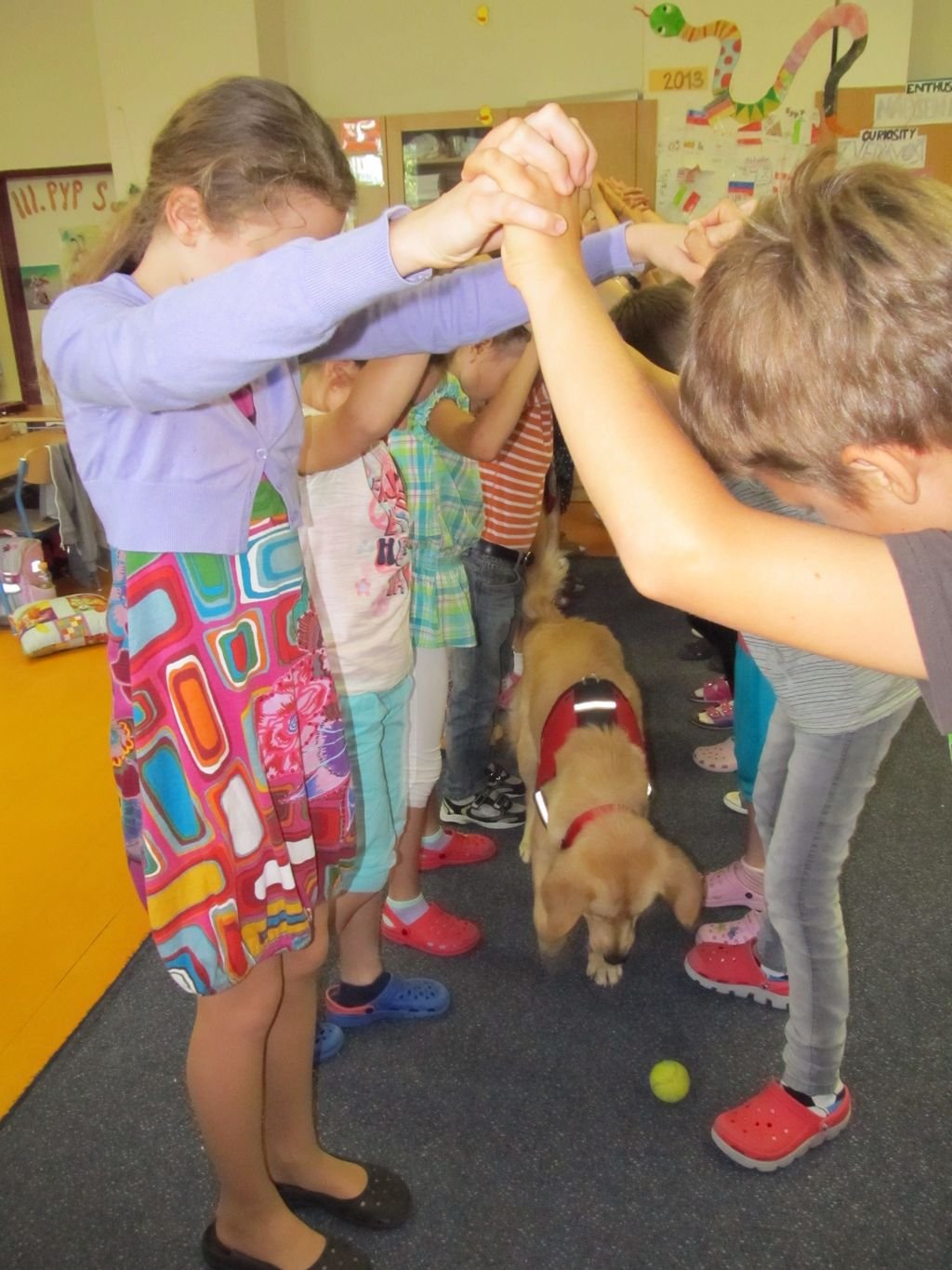 PYP3 - Hodina so záchranným psom