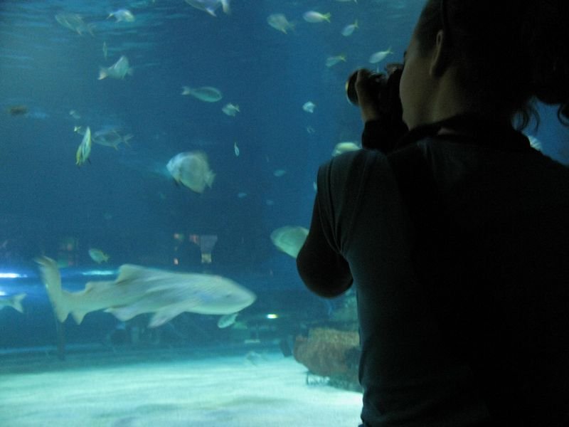 Oceanárium Budapešť