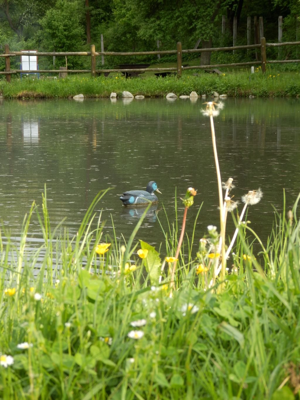 Euroškola - škola v prírode pre prvý stupeň ZŠ