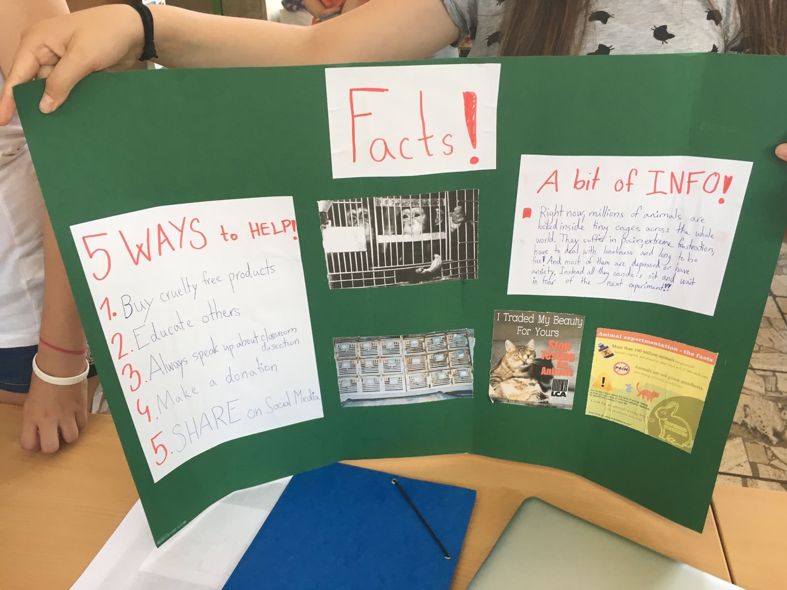 PYP 5 Exhibition Day June 2018