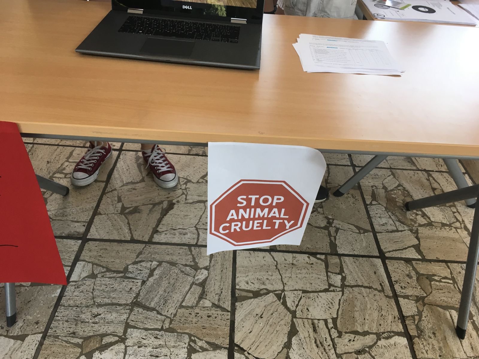 PYP 5 Exhibition Day June 2018