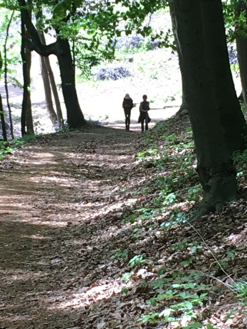 Nature school April 2018