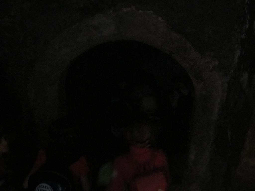 Výlet PYP3