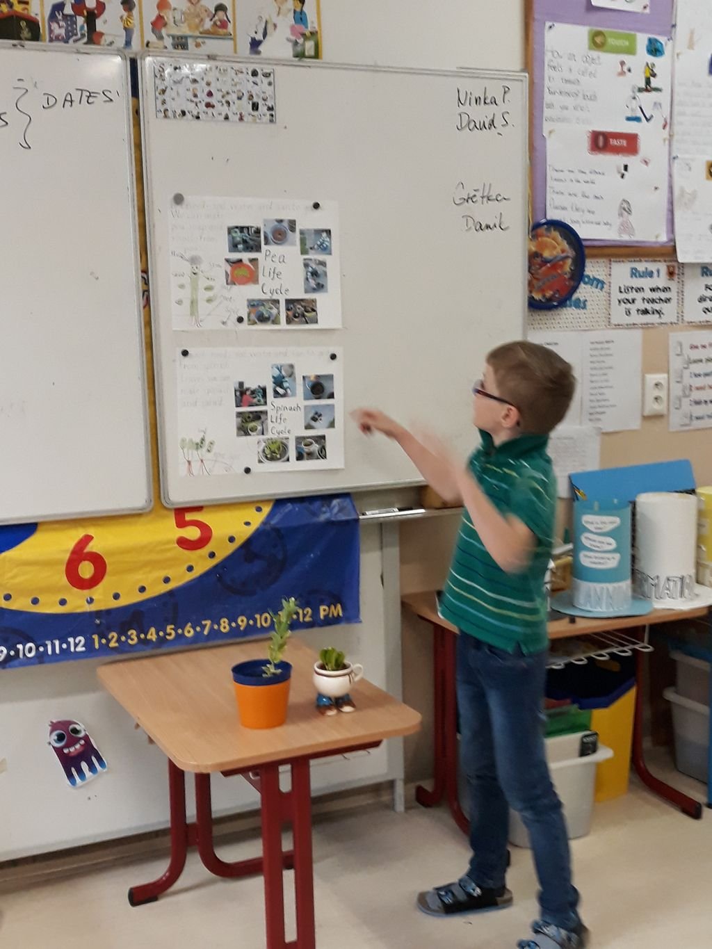 PYP 1 Presentation about plants May 2018