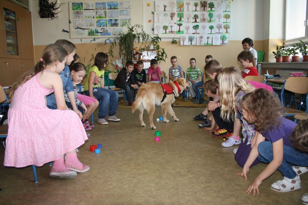 PYP3 - Hodina so záchranným psom