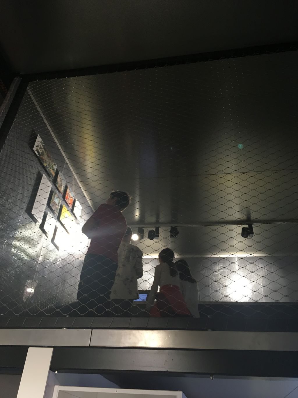 PYP 5 Vienna - Dec 2017
