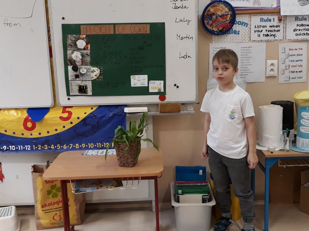 PYP 1 Presentation about plants May 2018