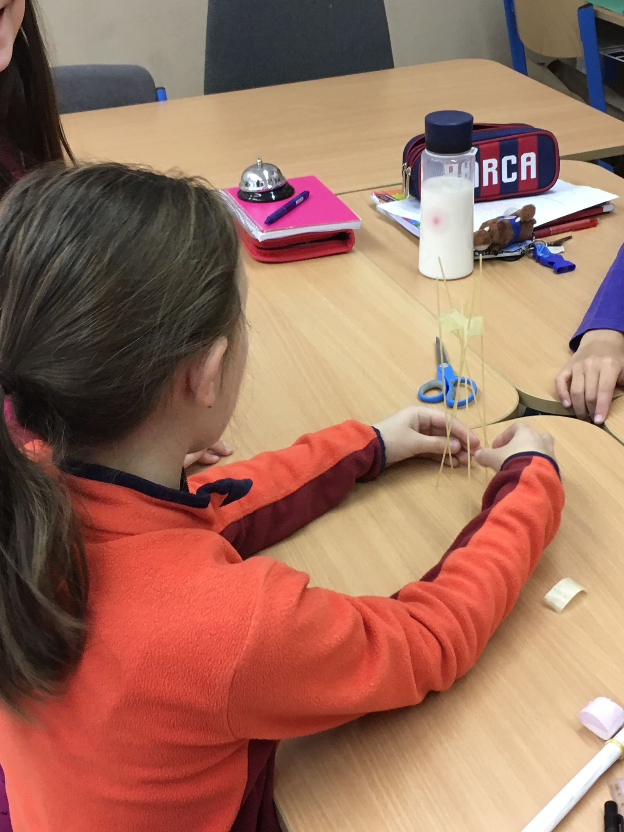 PYP 5 Transciplinary Skills