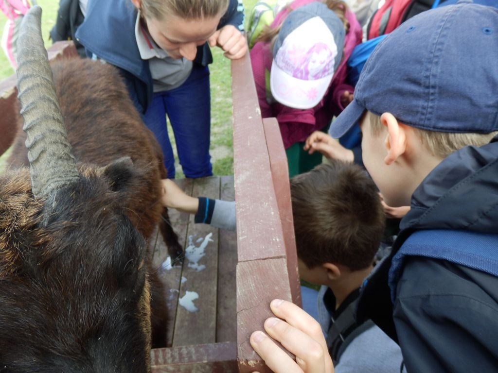 Výlet - Gabčíkovo a Vojka - PYP3 a PYP4