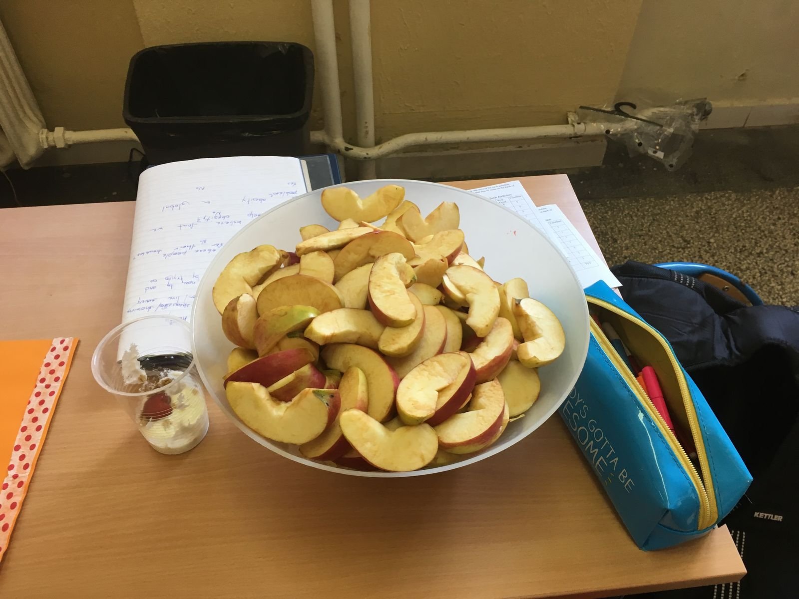 PYP 5 Exhibition Day June 2018