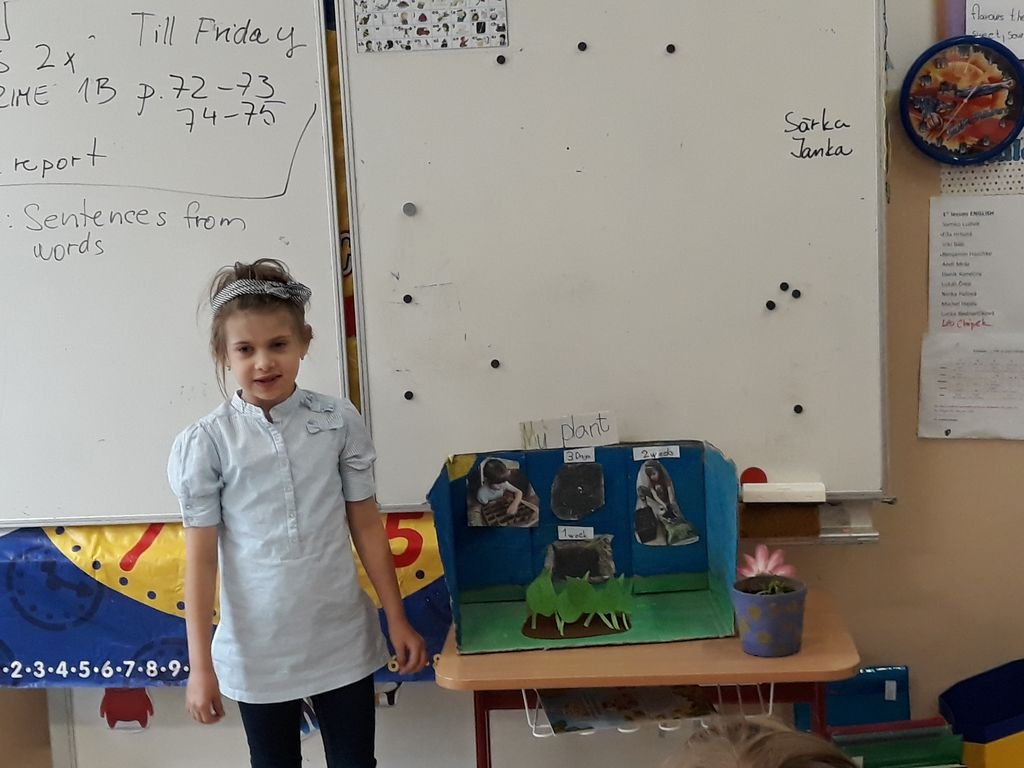 PYP 1 Presentation about plants May 2018