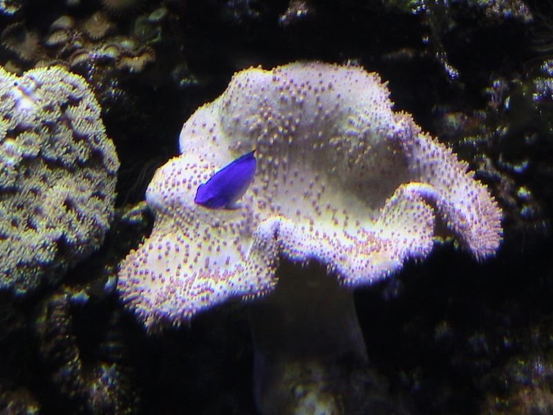 Exkurzia do oceanária a tropikária v Budapešti