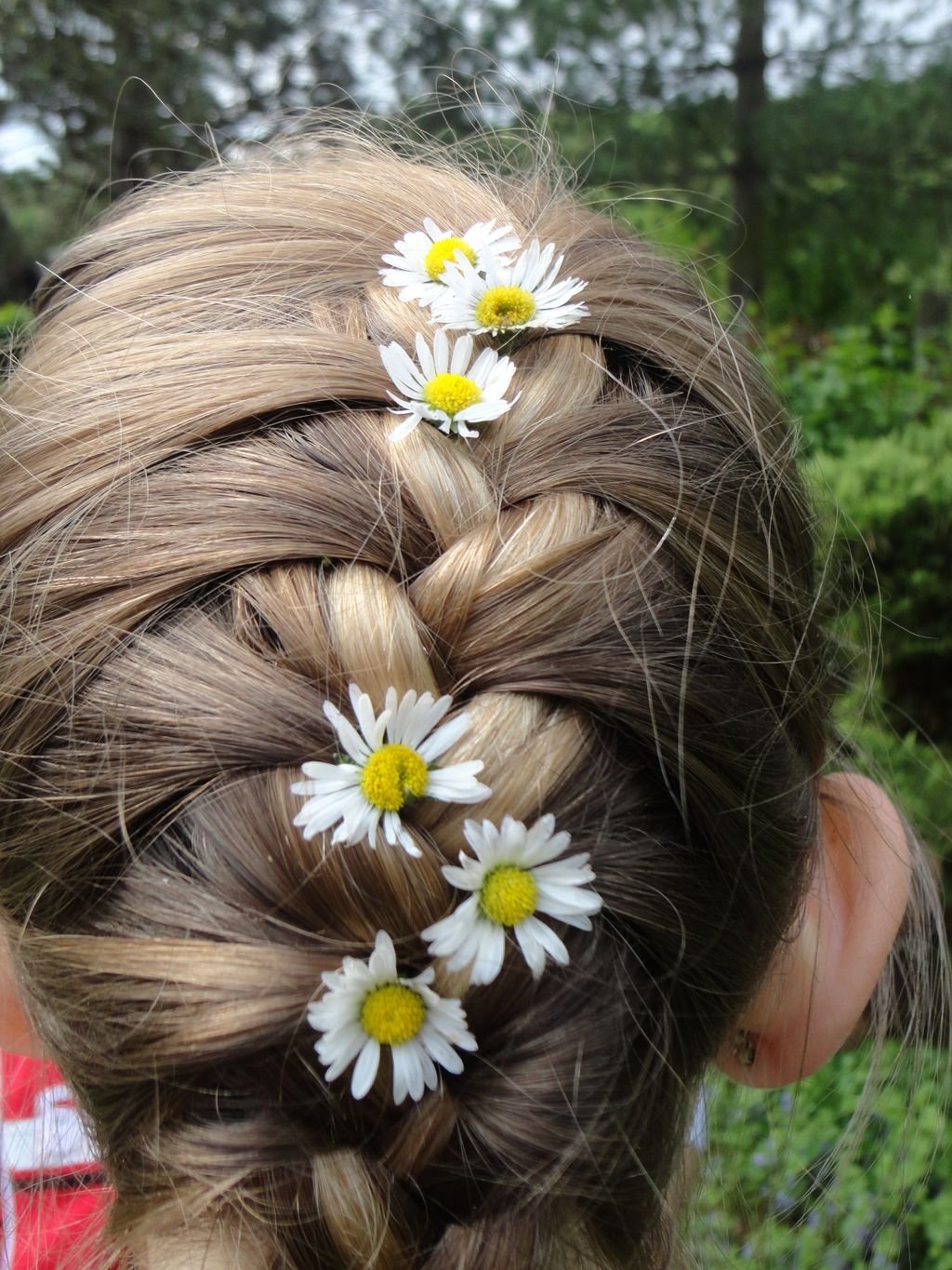 Euroškola - škola v prírode pre prvý stupeň ZŠ