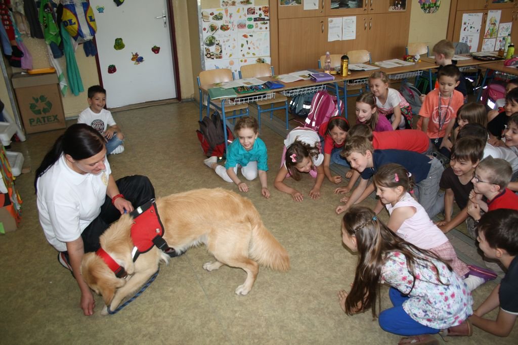 PYP3 - Hodina so záchranným psom