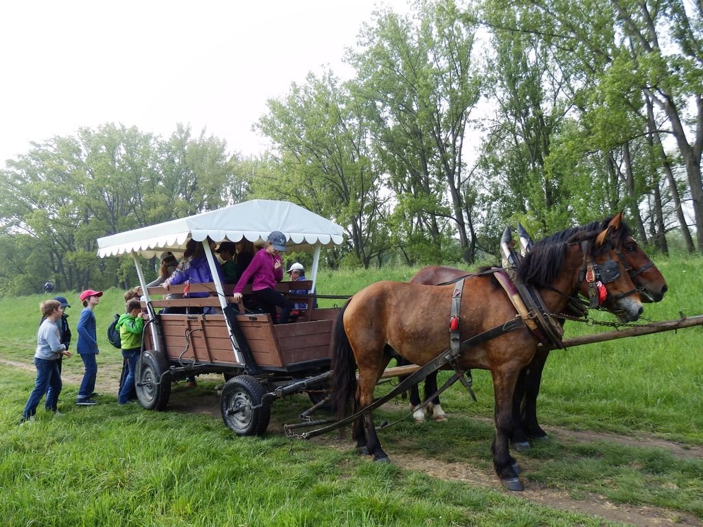 Výlet - Gabčíkovo a Vojka - PYP3 a PYP4