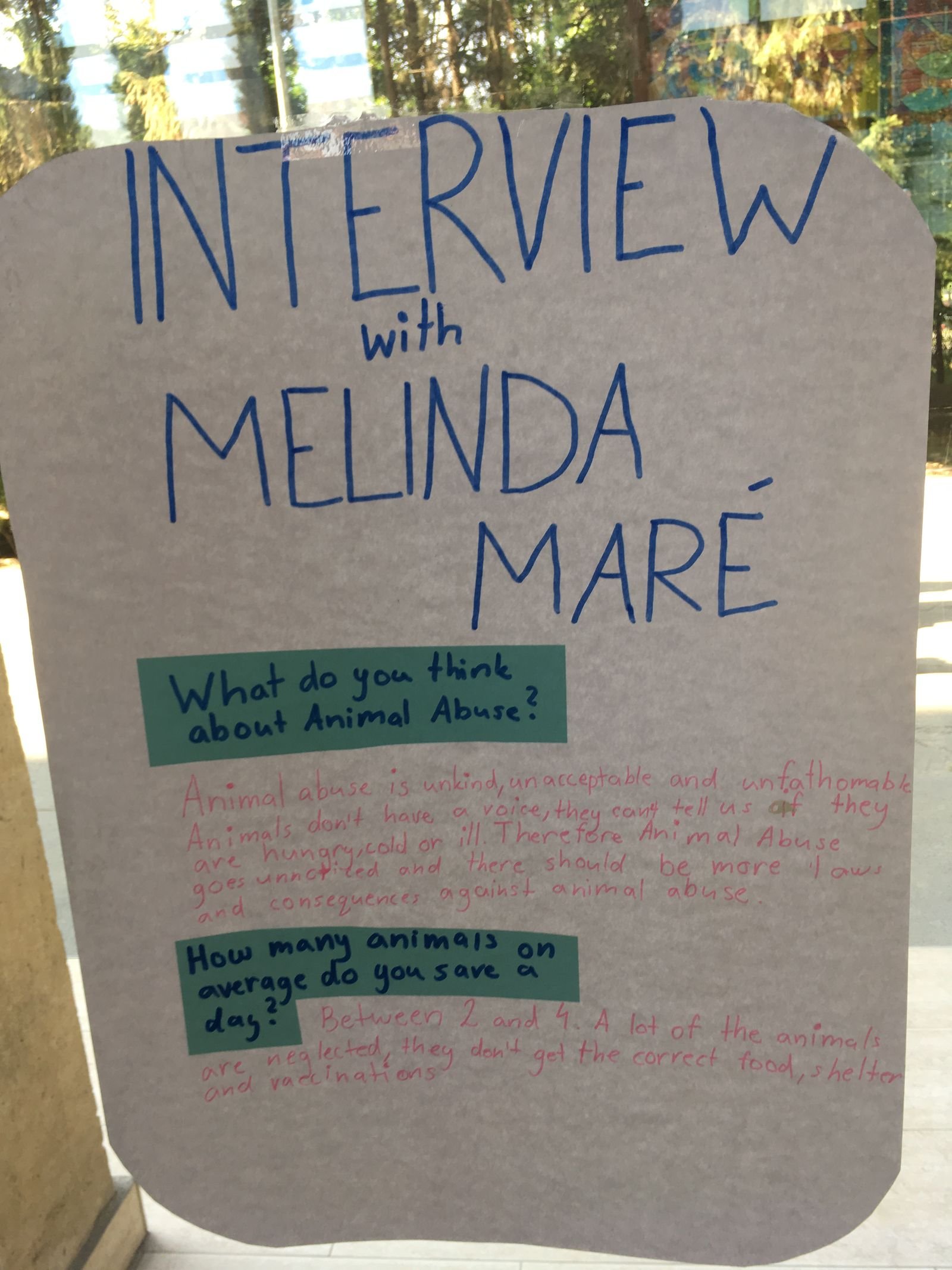 PYP 5 Exhibition Day June 2018