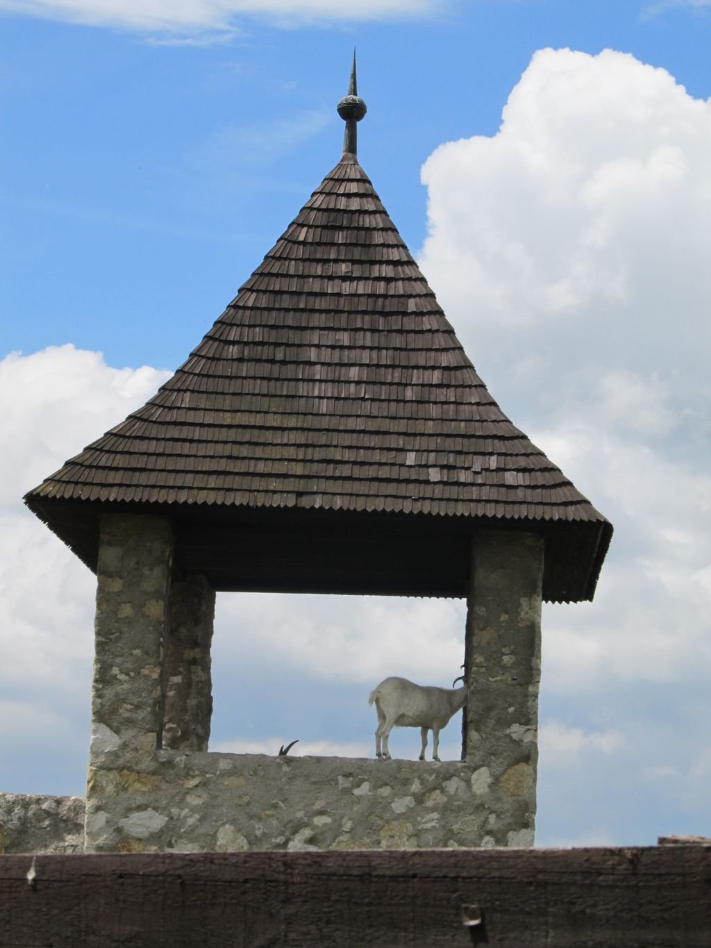 Výlet PYP3
