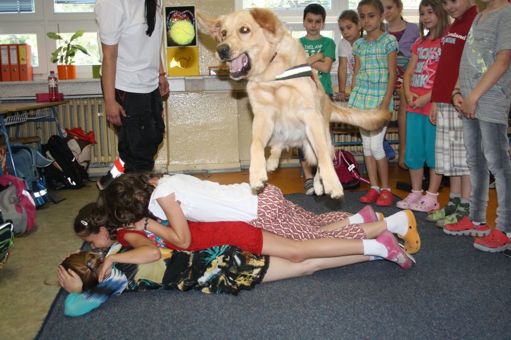 PYP3 - Hodina so záchranným psom