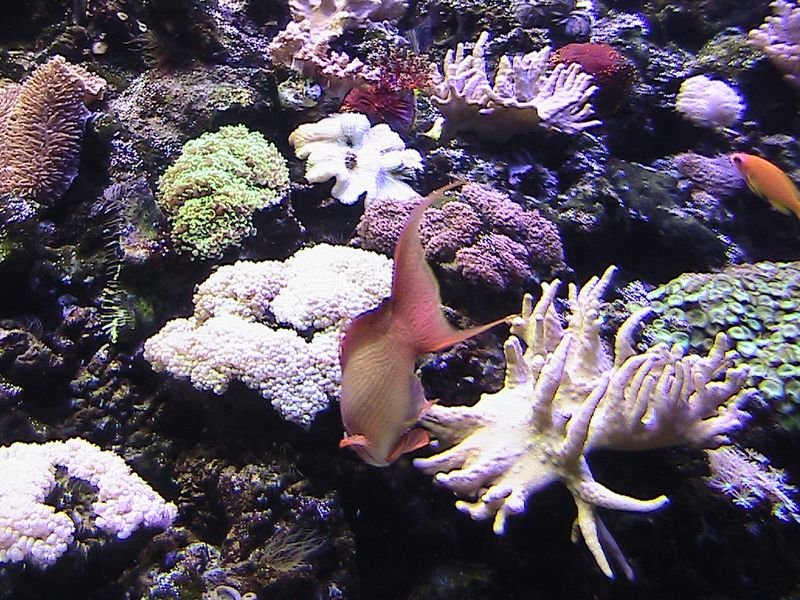 Exkurzia do oceanária a tropikária v Budapešti