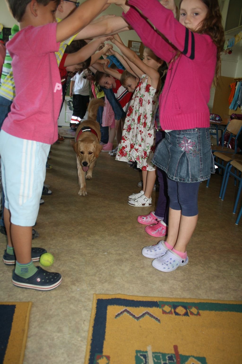 PYP3 - Hodina so záchranným psom