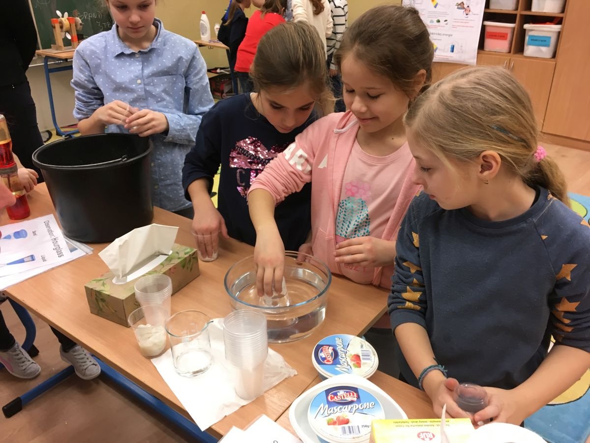 PYP 3 science workshop