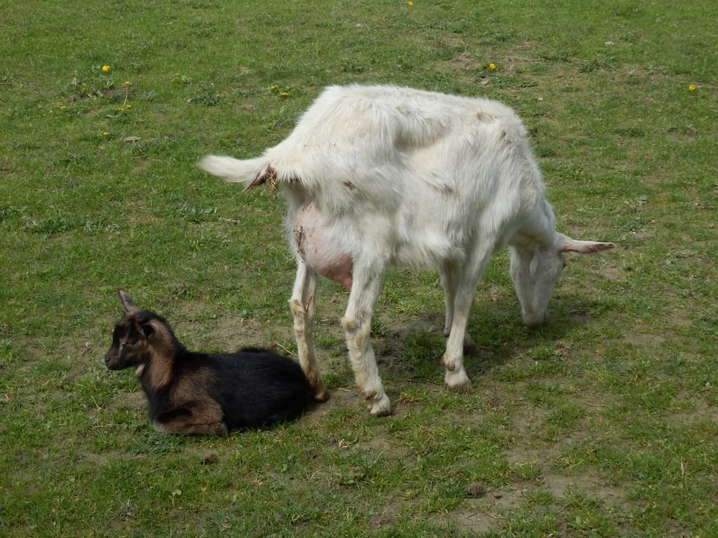 Výlet - Gabčíkovo a Vojka - PYP3 a PYP4