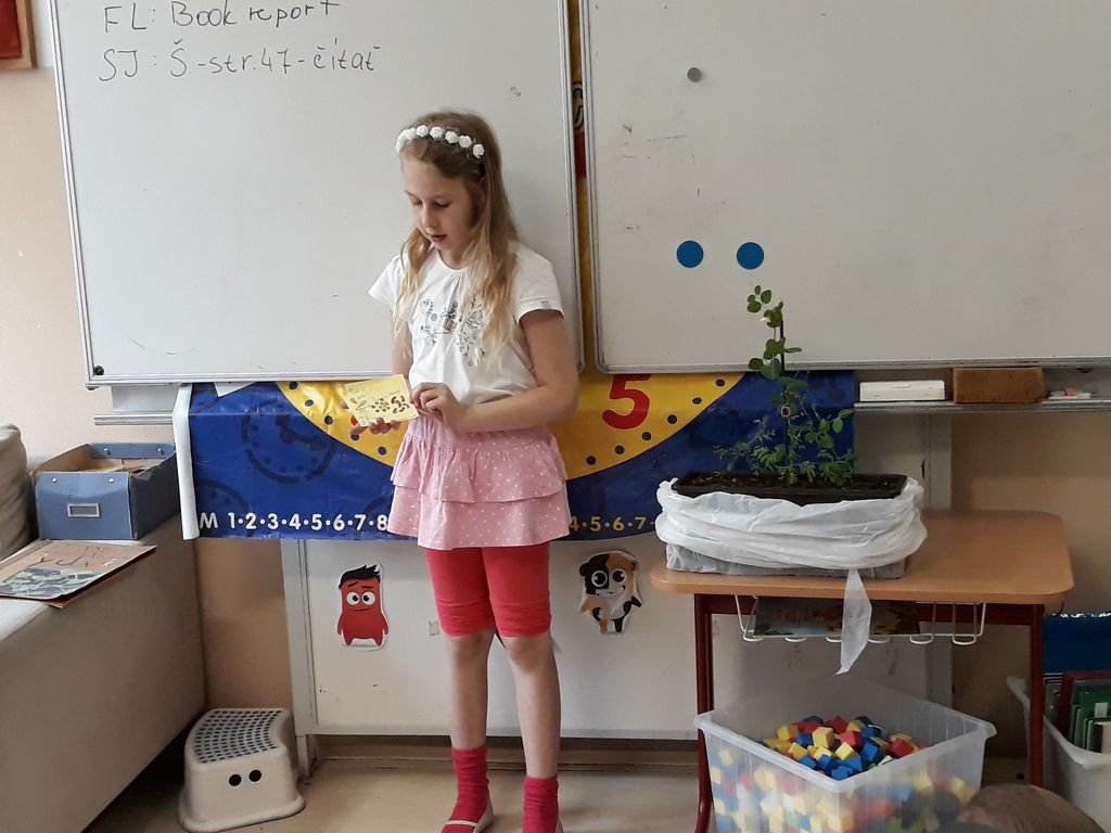 PYP 1 Presentation about plants May 2018