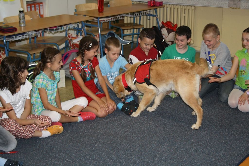 PYP3 - Hodina so záchranným psom