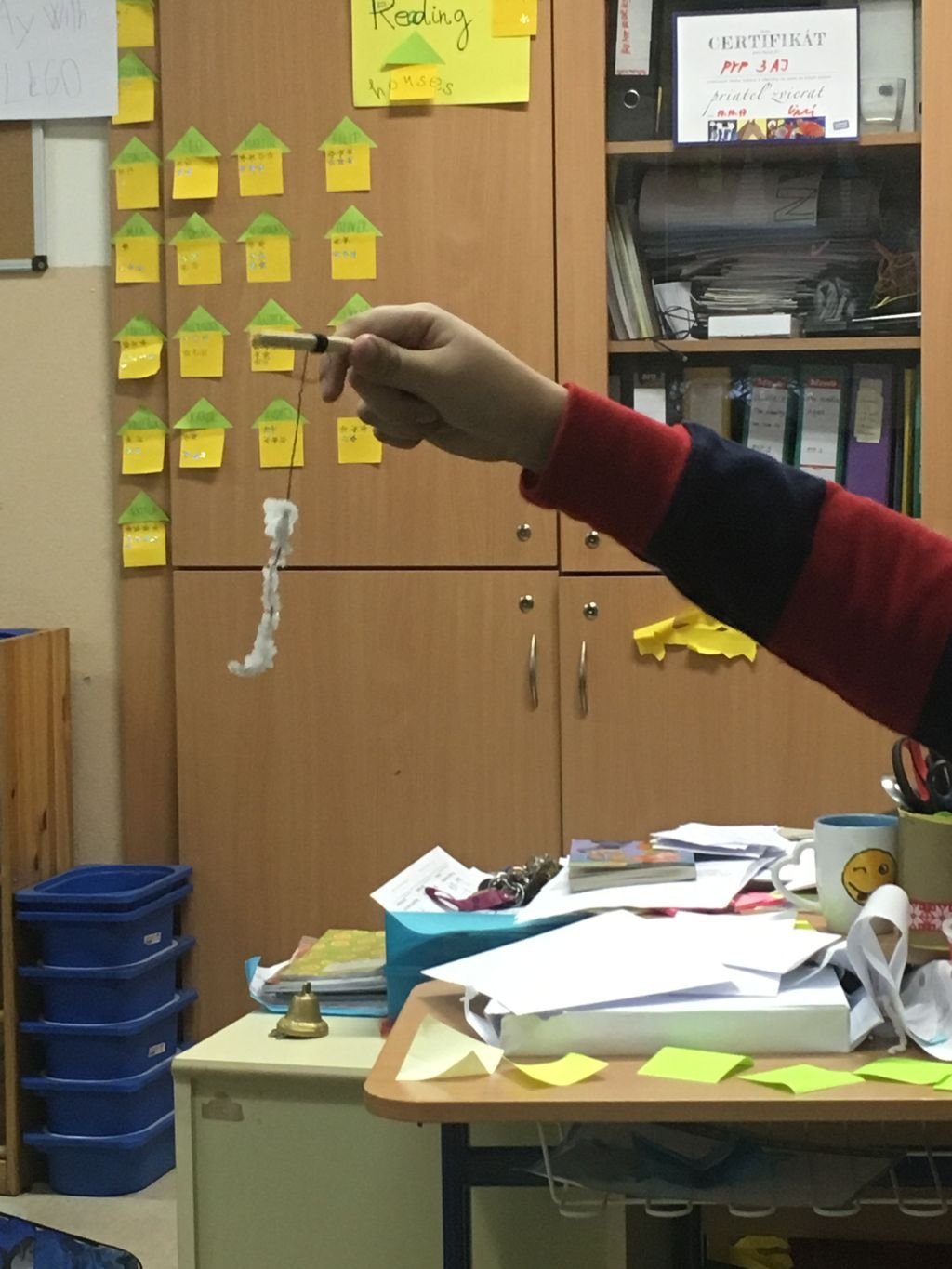 PYP 3 Sharing the planet Jan 2018