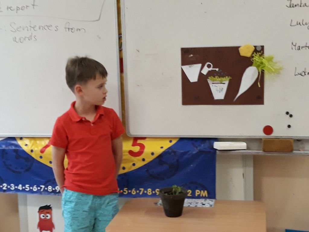 PYP 1 Presentation about plants May 2018