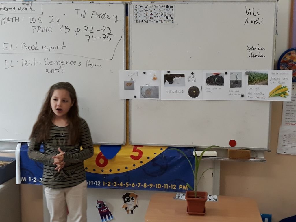 PYP 1 Presentation about plants May 2018