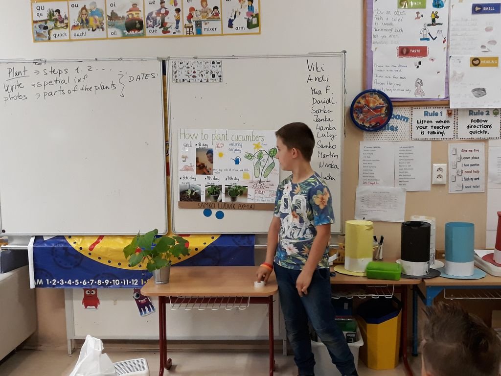 PYP 1 Presentation about plants May 2018