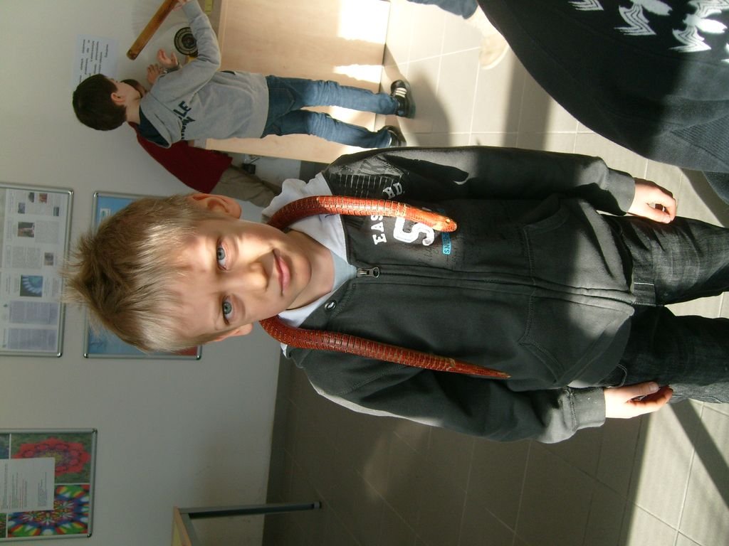 Vedecká výstava 1.A