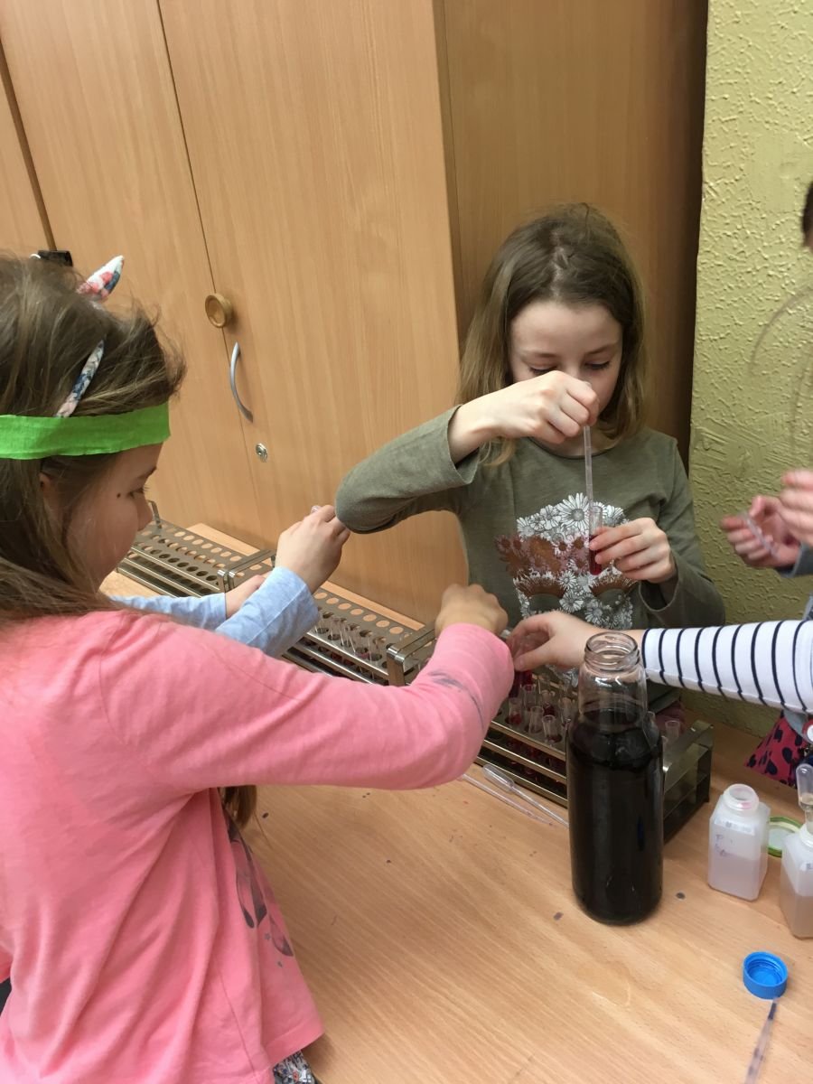 PYP 3 science workshop