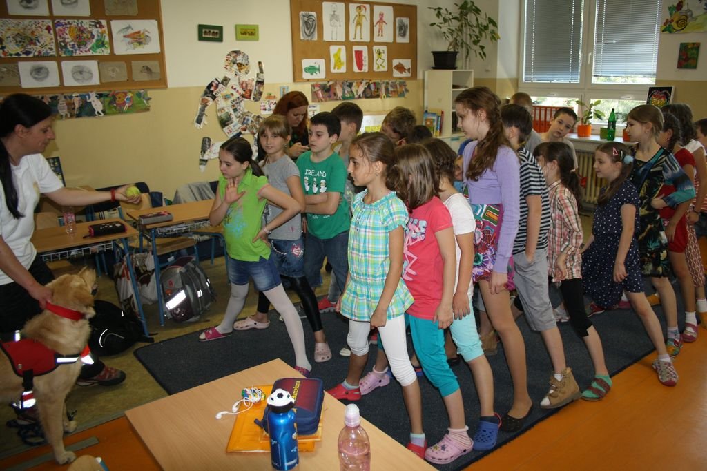 PYP3 - Hodina so záchranným psom