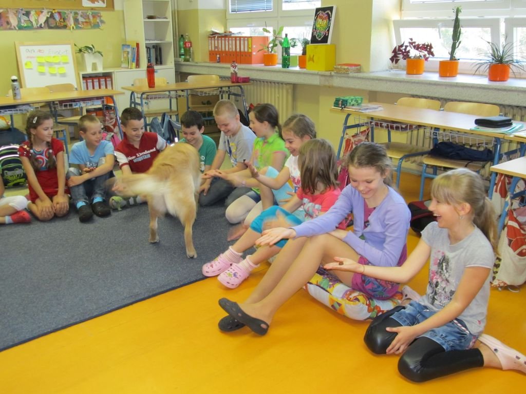 PYP3 - Hodina so záchranným psom