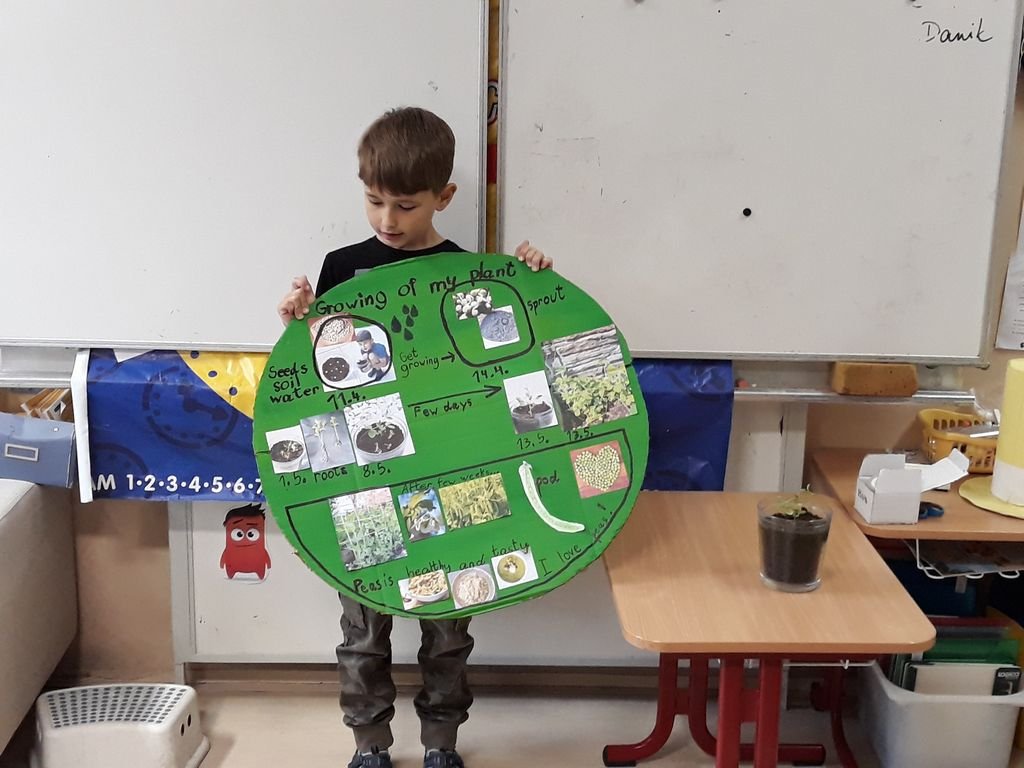 PYP 1 Presentation about plants May 2018