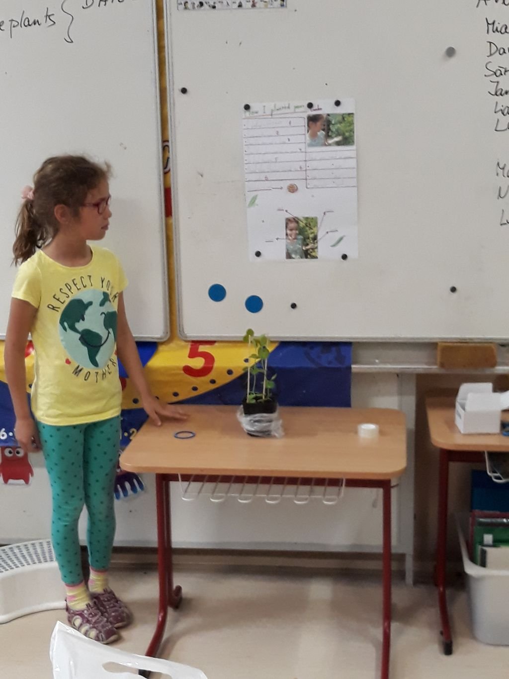 PYP 1 Presentation about plants May 2018