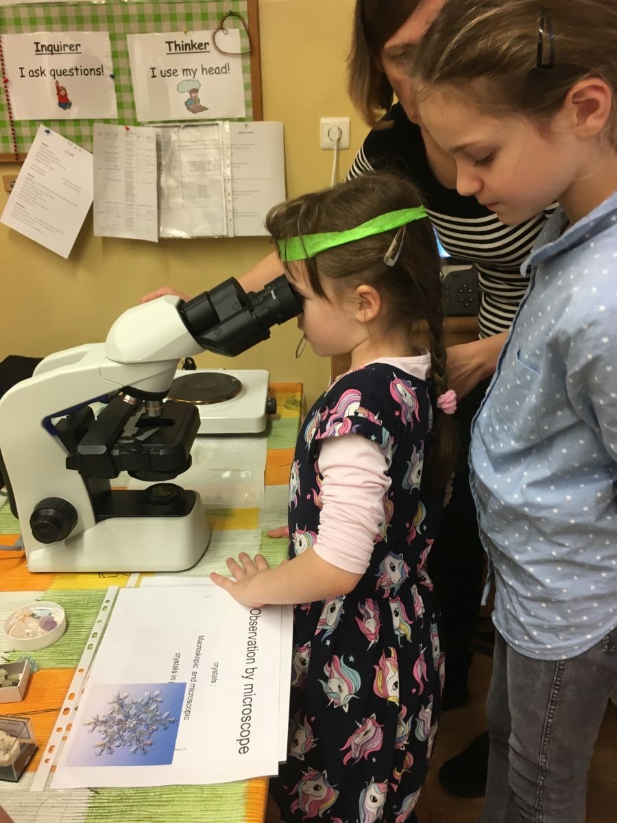 PYP 3 science workshop