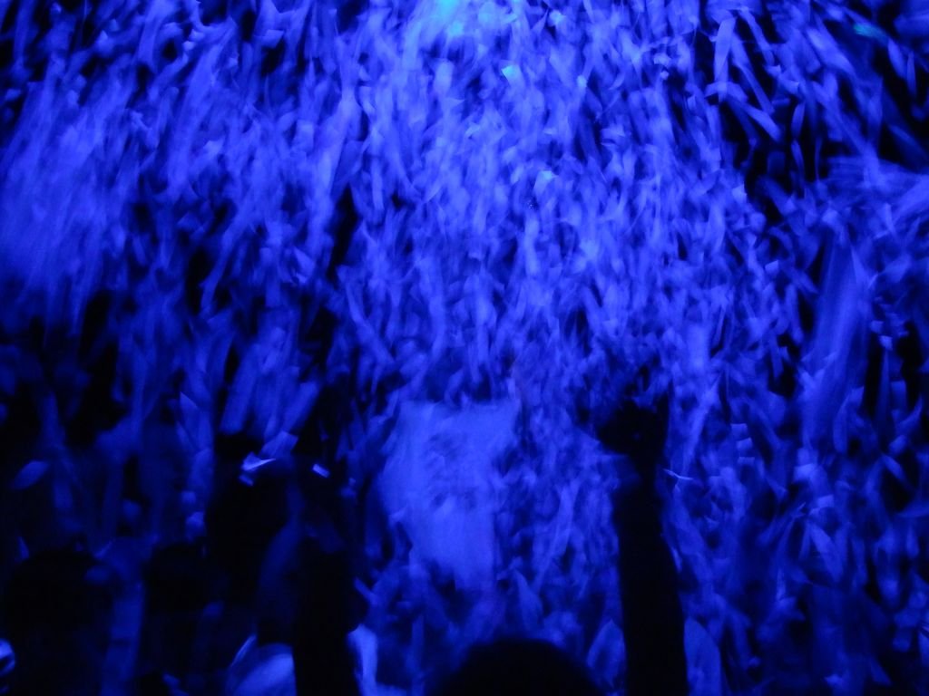 Euroškola - škola v prírode pre prvý stupeň ZŠ