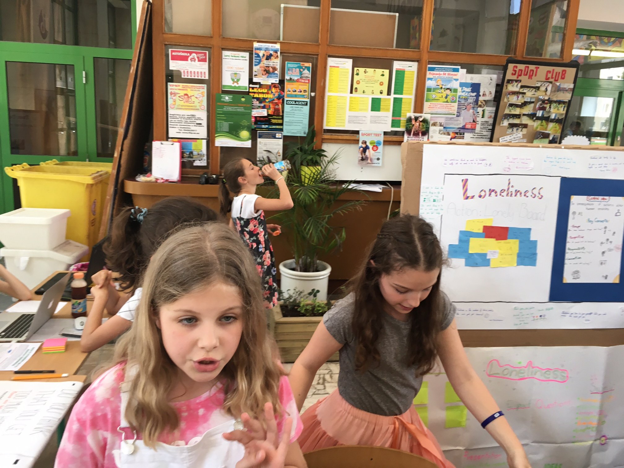PYP Exhibition - June 2017