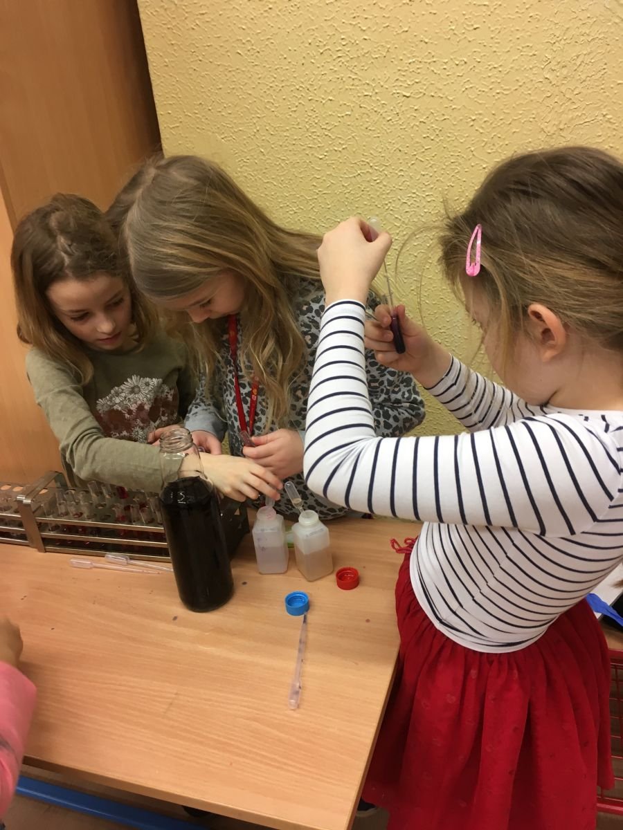 PYP 3 science workshop