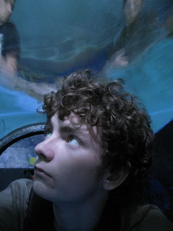 Oceanárium Budapešť