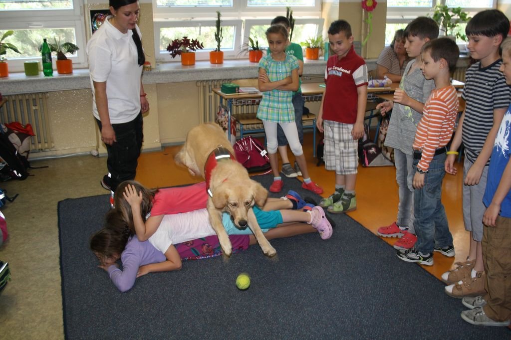 PYP3 - Hodina so záchranným psom