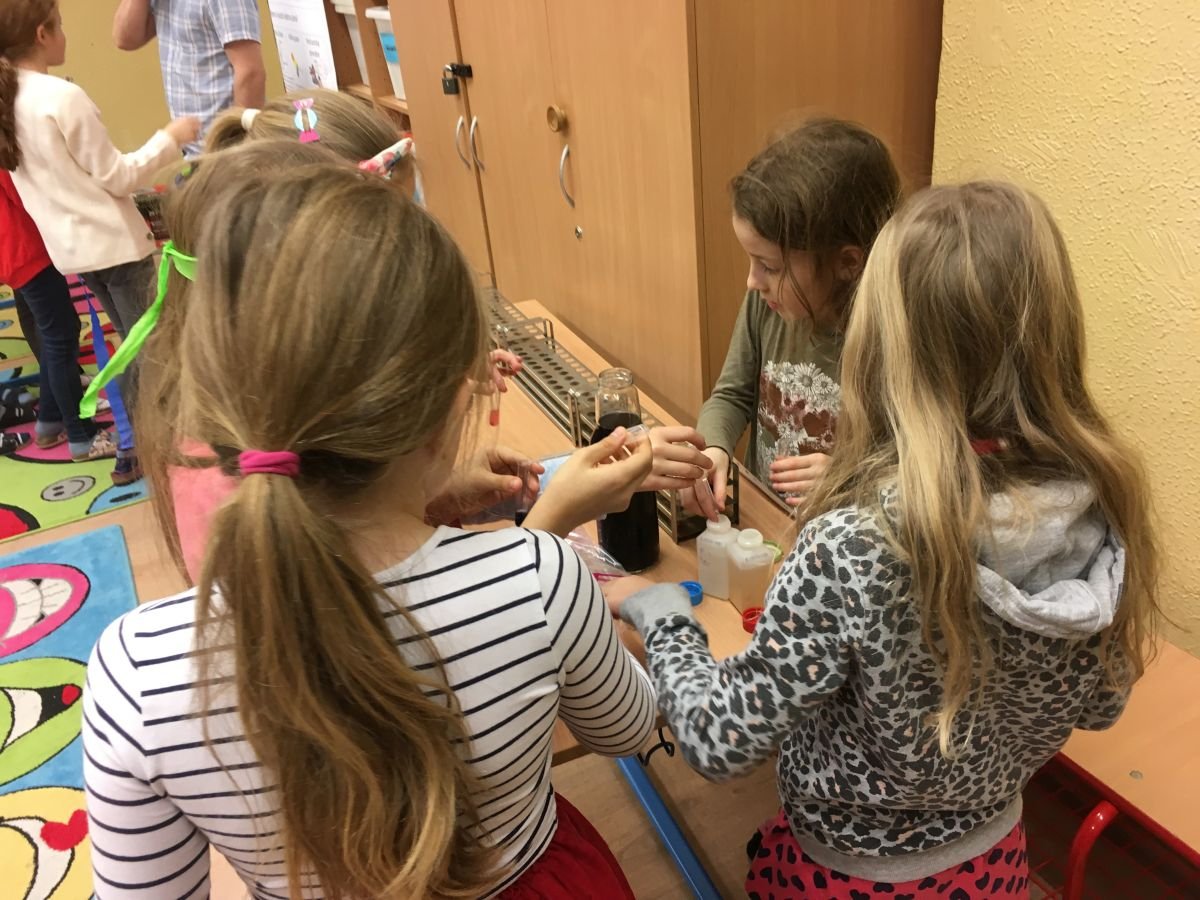 PYP 3 science workshop