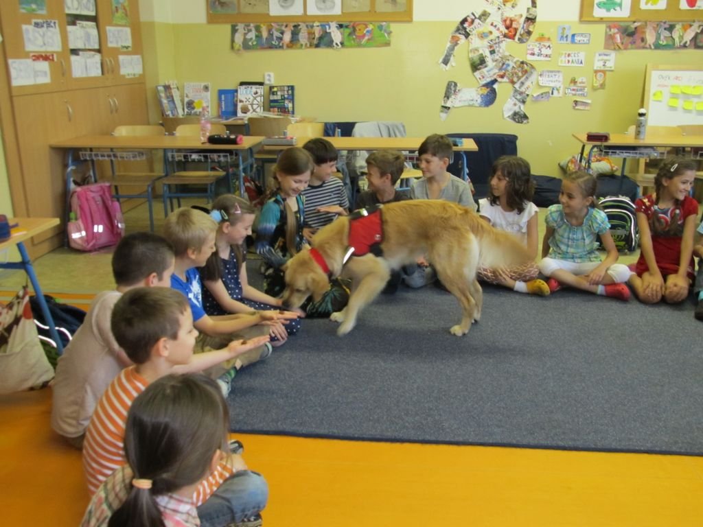 PYP3 - Hodina so záchranným psom