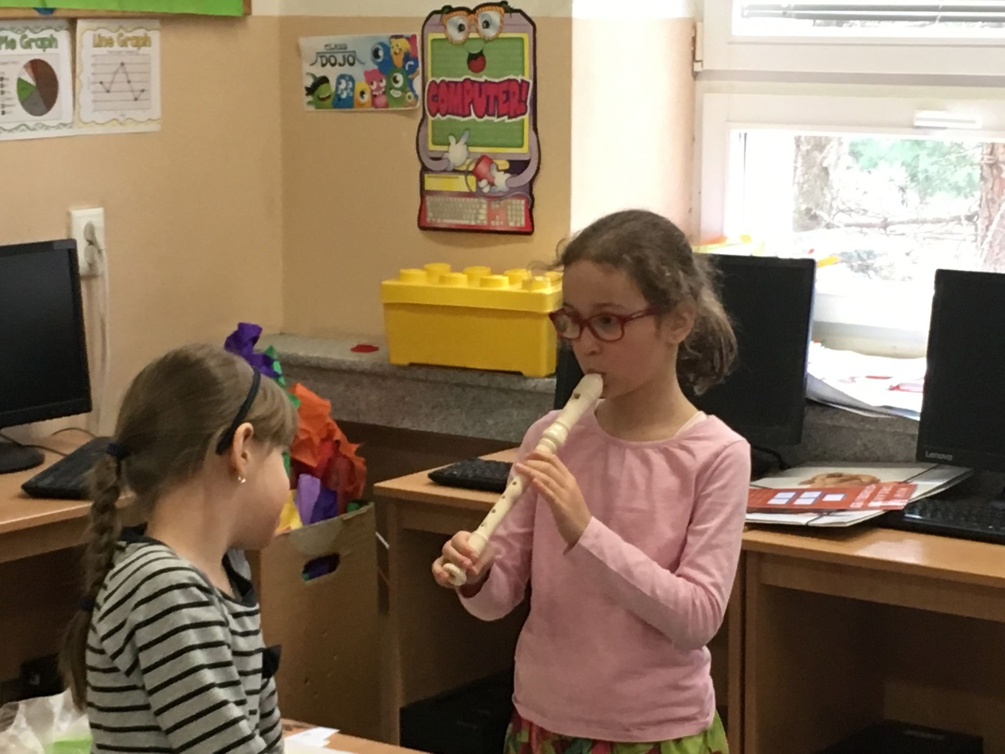 PYP 1 - Ho we organize ourselves - presentations