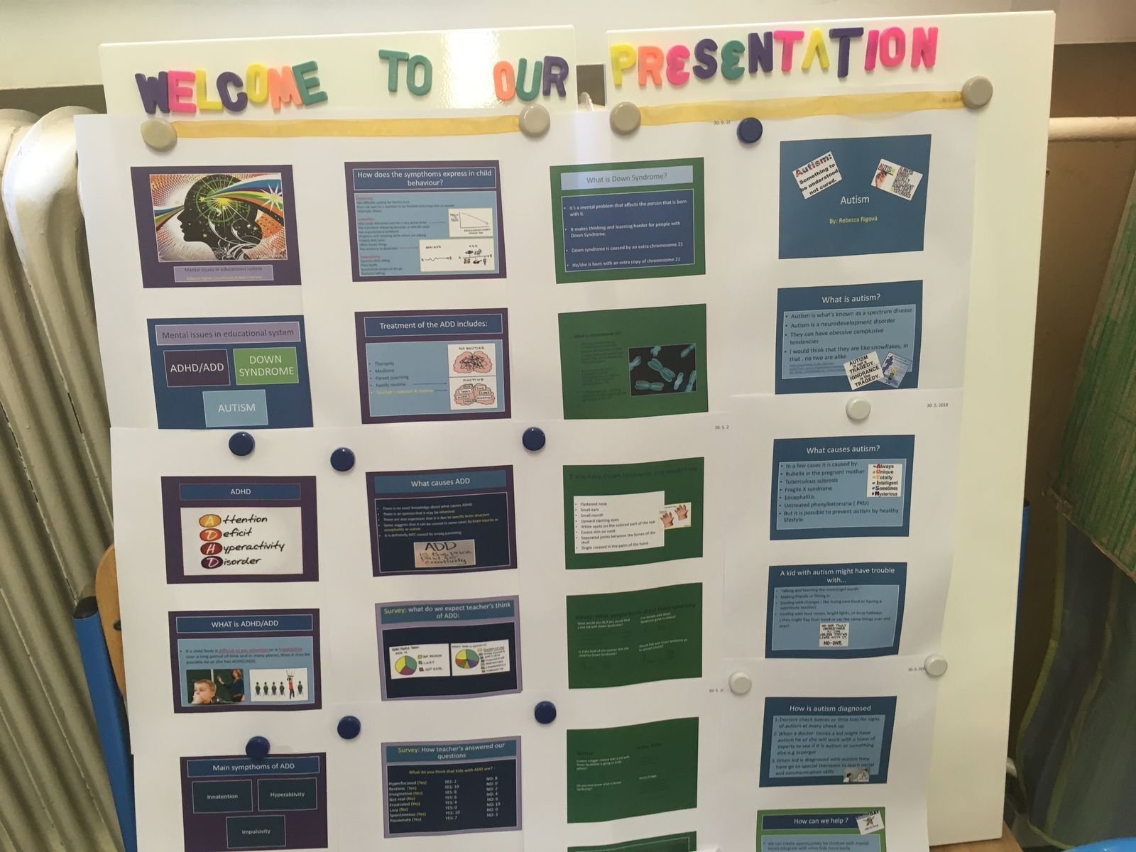 PYP 5 Exhibition Day June 2018